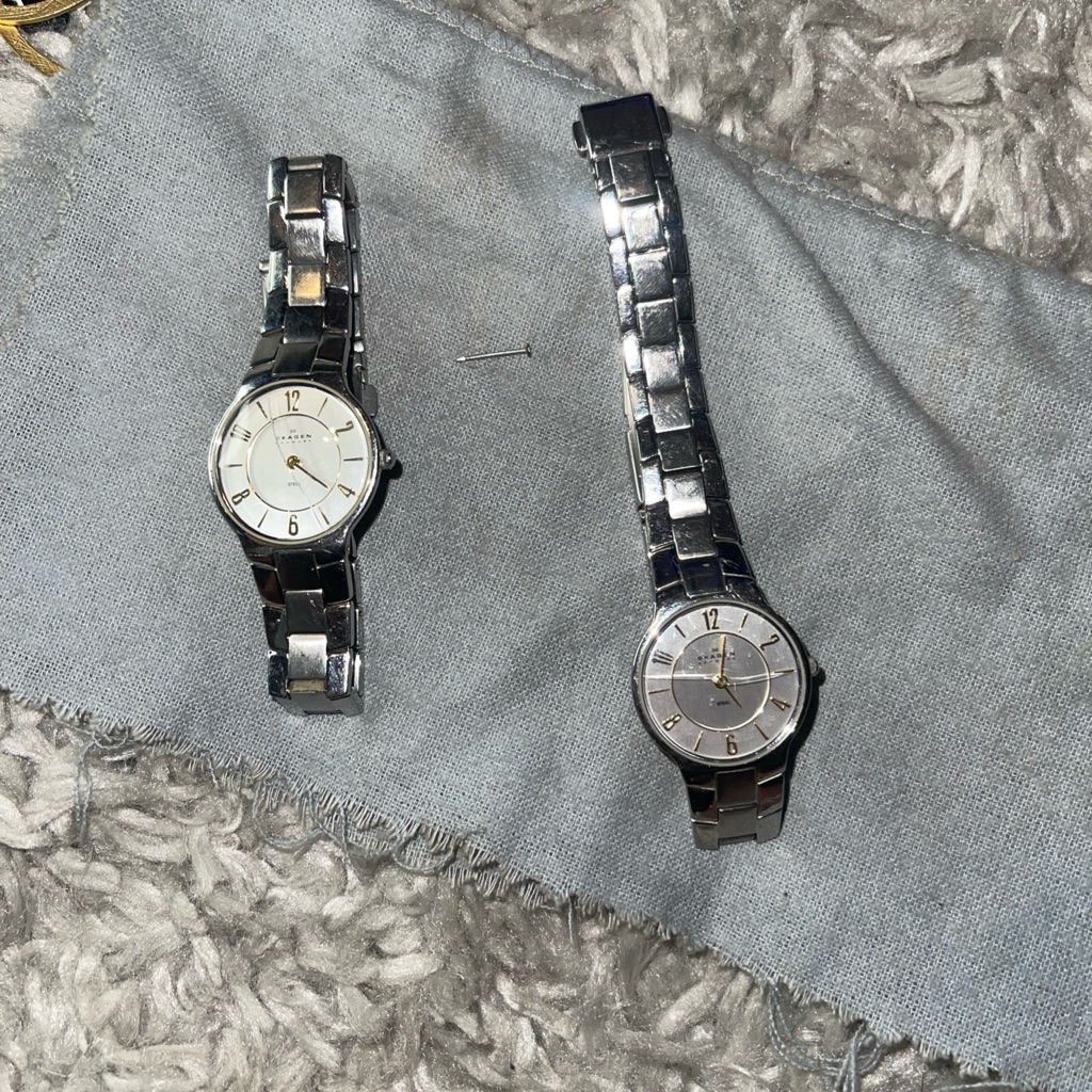 Skagen Womens Watch Silver Stainless 572sgxc1